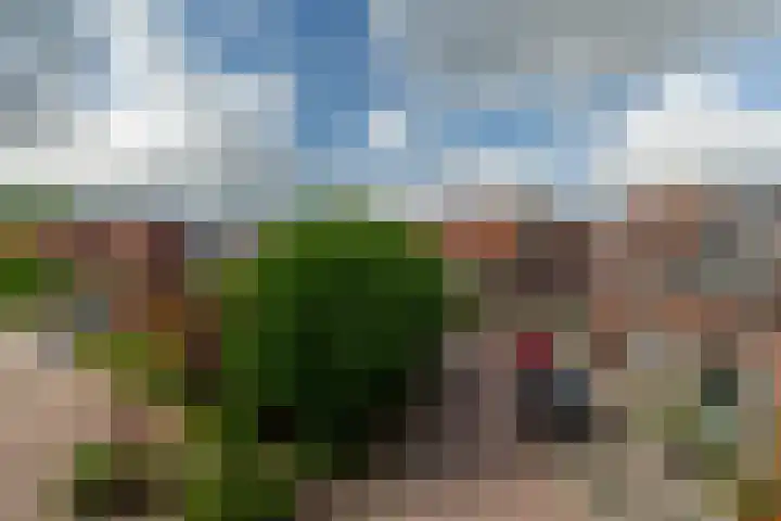 Oranjeplein 7 Rotterdam thumbnail 34