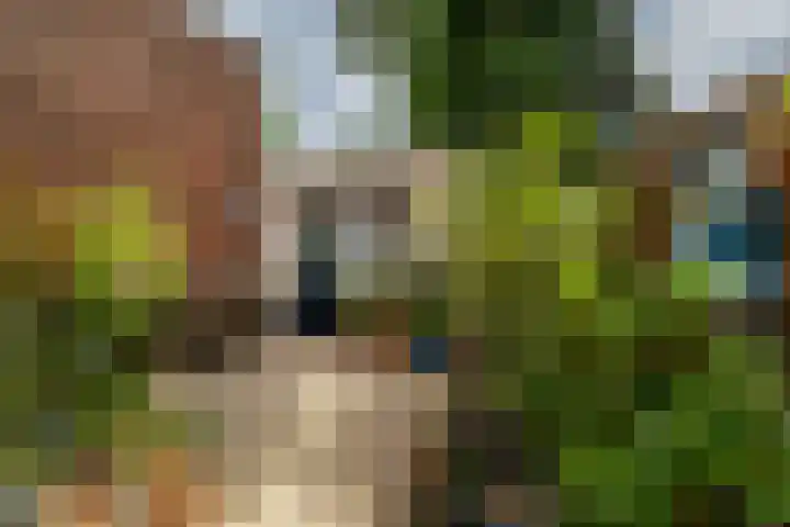 Oranjeplein 7 Rotterdam thumbnail 35