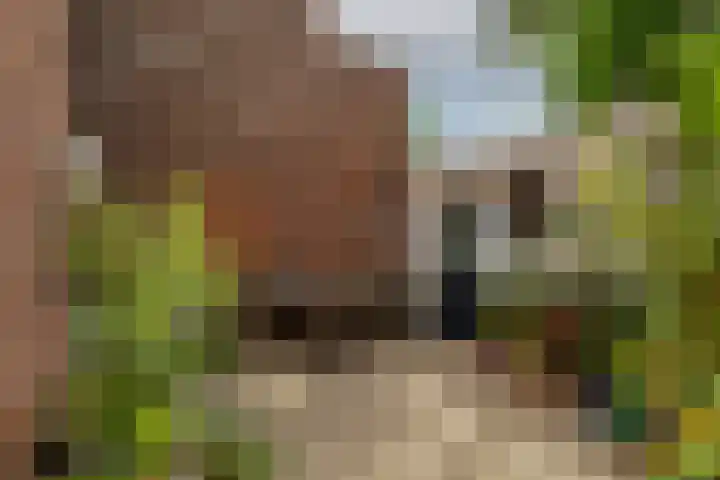 Oranjeplein 7 Rotterdam thumbnail 36