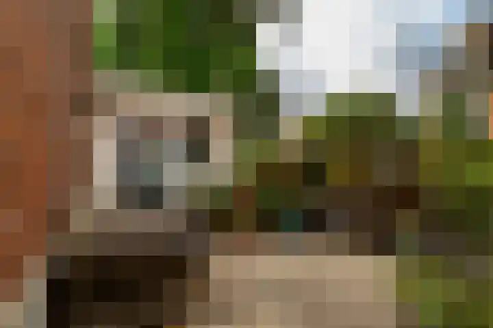 Oranjeplein 7 Rotterdam thumbnail 37