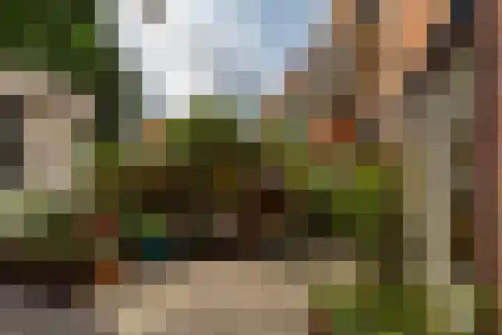 Oranjeplein 7 Rotterdam thumbnail 38