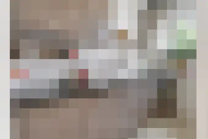 Oranjeplein 7 Rotterdam thumbnail 4