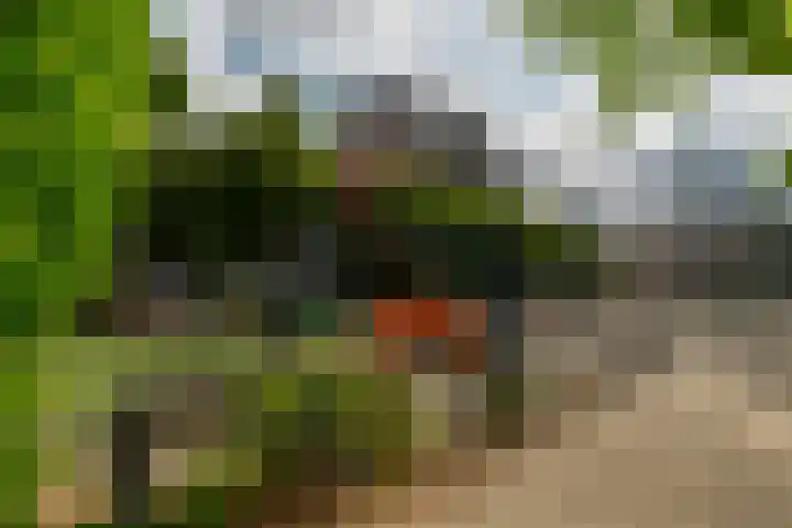 Oranjeplein 7 Rotterdam thumbnail 41