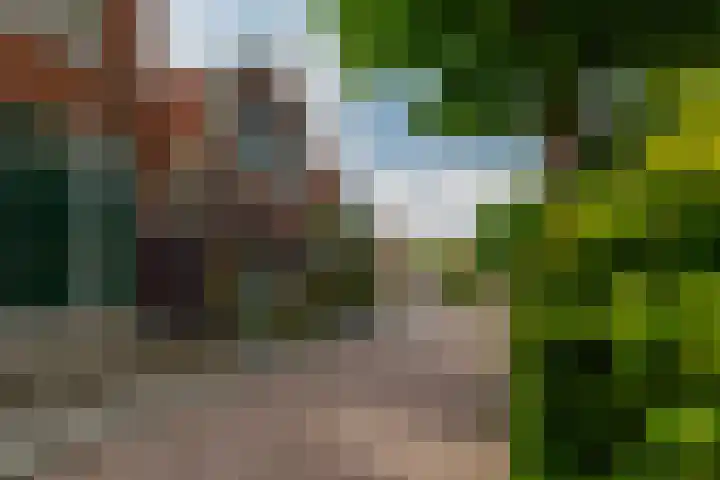 Oranjeplein 7 Rotterdam thumbnail 43