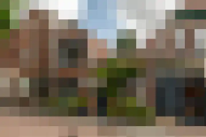 Oranjeplein 7 Rotterdam thumbnail 47
