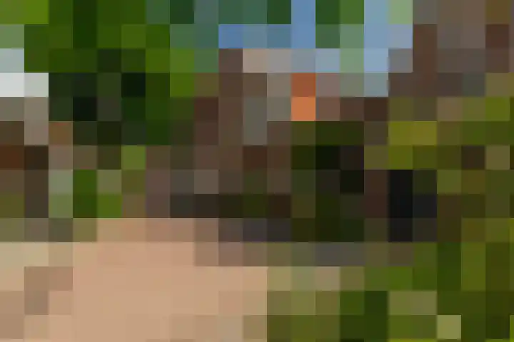 Oranjeplein 7 Rotterdam thumbnail 49