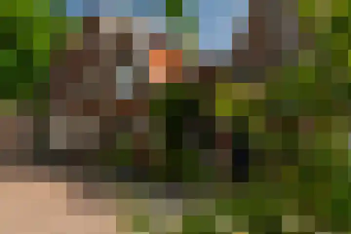 Oranjeplein 7 Rotterdam thumbnail 5