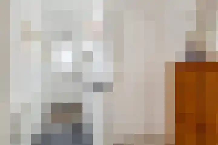 Oranjeplein 7 Rotterdam thumbnail 6