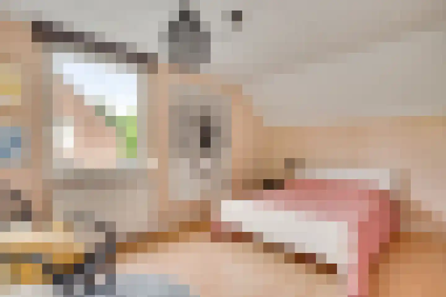 Oranjeplein 9 Bunde thumbnail 12