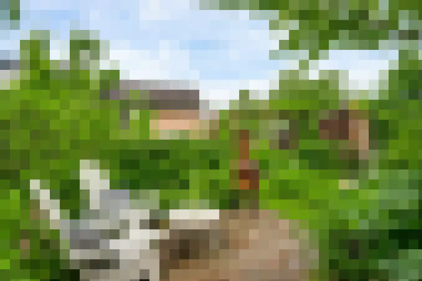 Oranjeplein 9 Bunde thumbnail 4