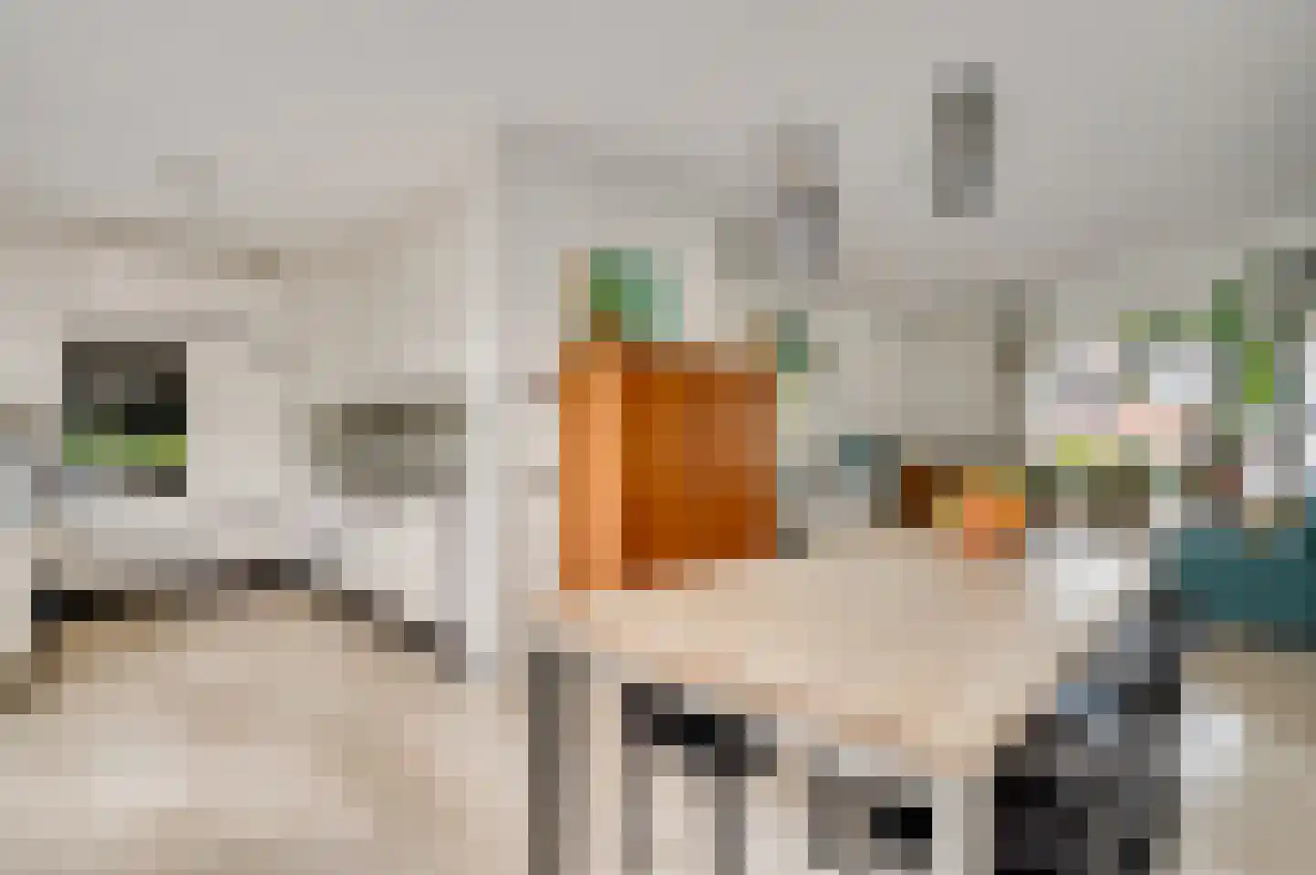 Oranjeplein 9 Bunde thumbnail 7