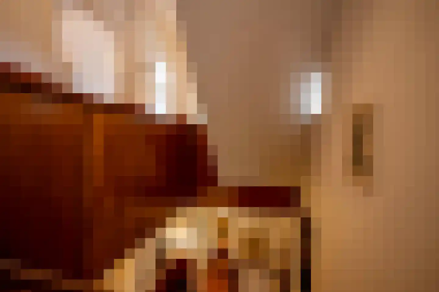 Oranjeplein 9 Kerkrade thumbnail 17