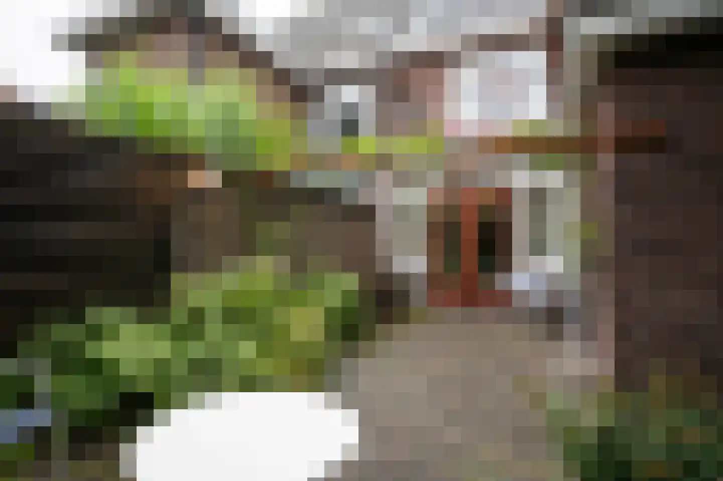 Oranjeplein 9 Kerkrade thumbnail 29