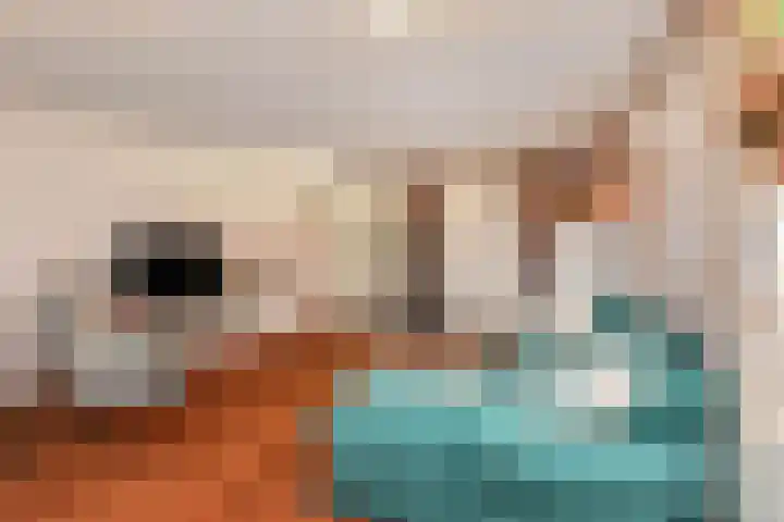 Oranjepoldererf 36 Gouda thumbnail 11