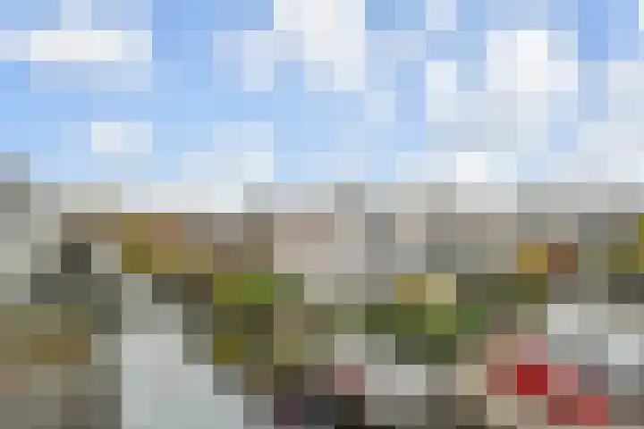Oranjepoldererf 36 Gouda thumbnail 29