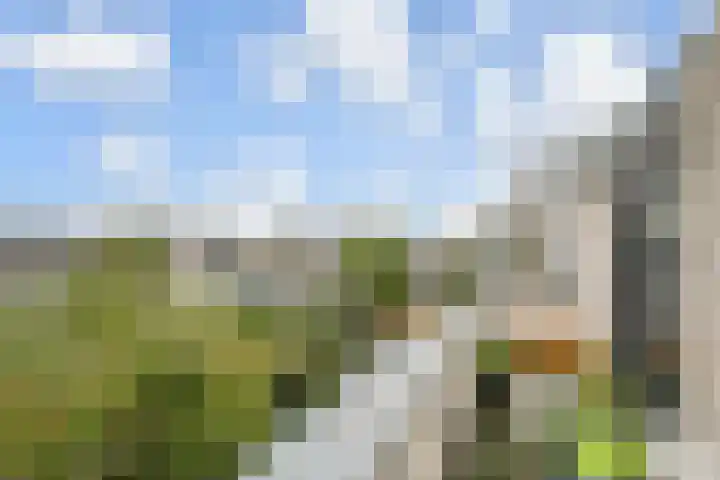 Oranjepoldererf 36 Gouda thumbnail 31