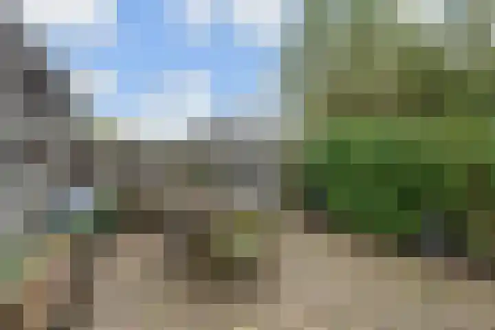Oranjepoldererf 36 Gouda thumbnail 32