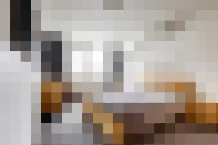 Oranjepoldererf 48 Gouda thumbnail 15