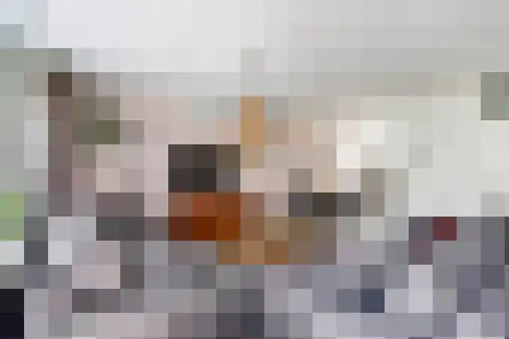 Oranjepoldererf 48 Gouda thumbnail 8