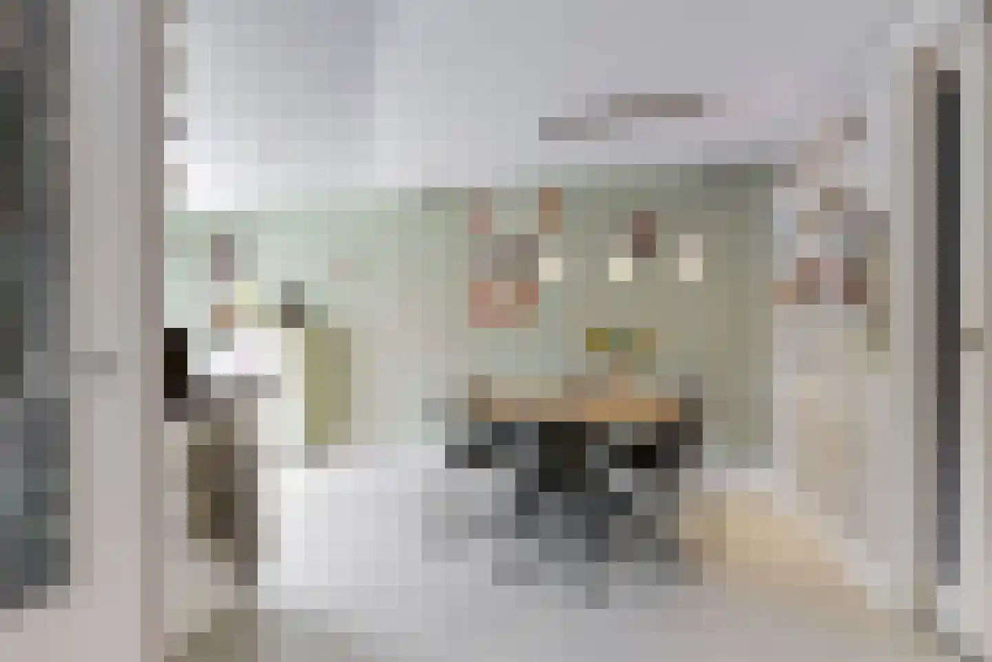 Oranjerie 1 De Goorn thumbnail 10