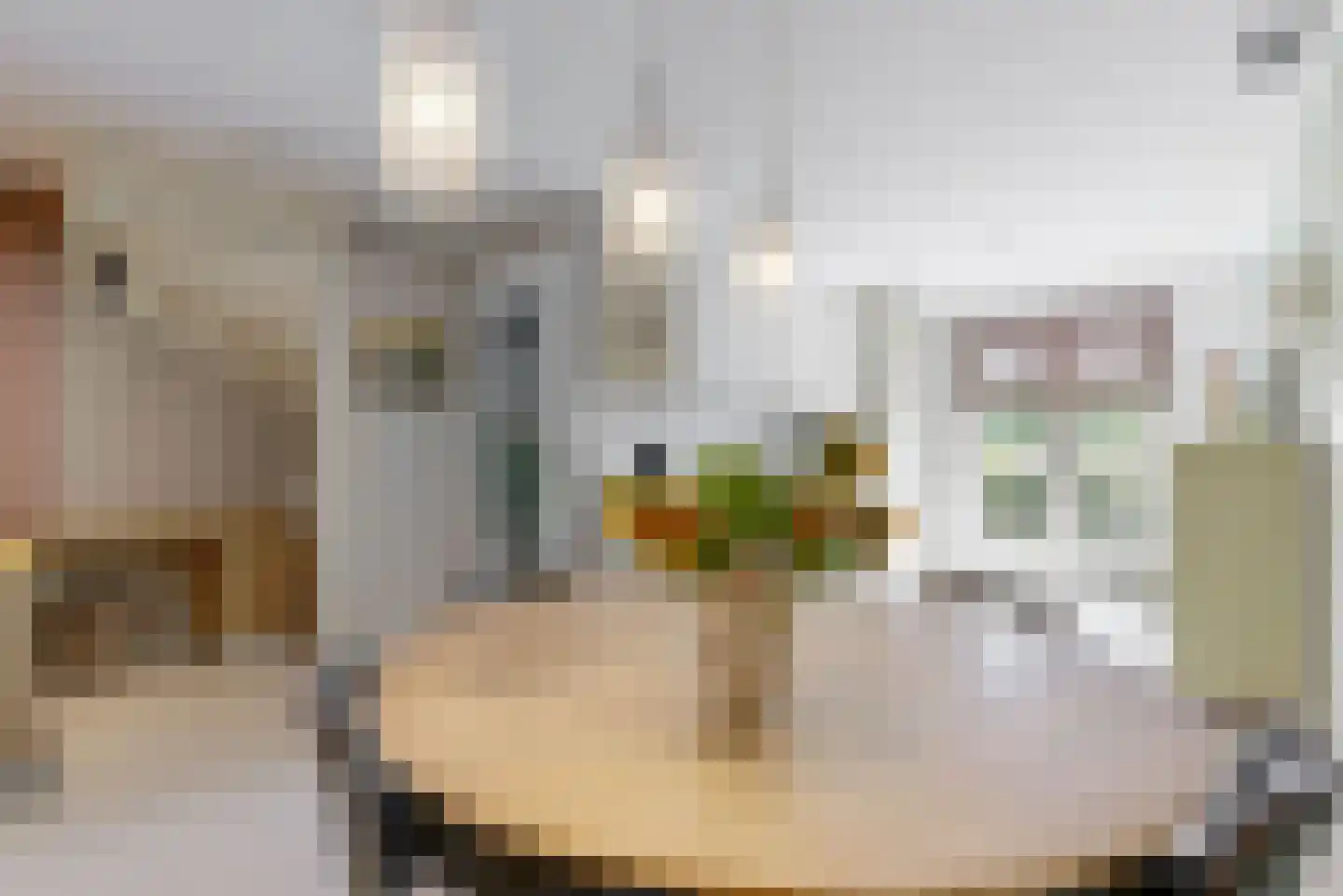 Oranjerie 1 De Goorn thumbnail 11