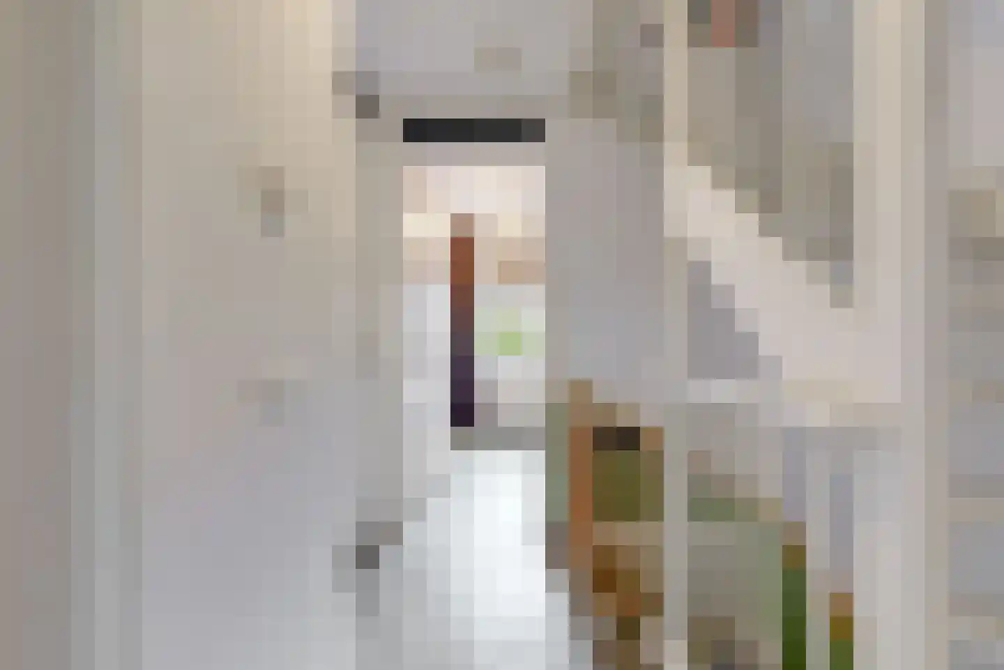 Oranjerie 1 De Goorn thumbnail 17