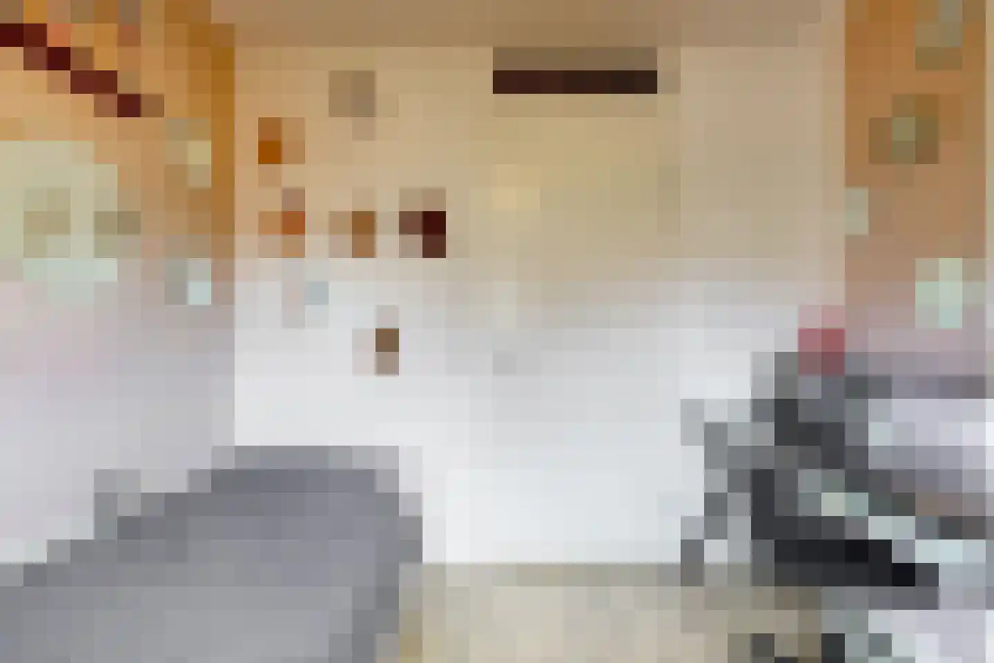 Oranjerie 1 De Goorn thumbnail 20