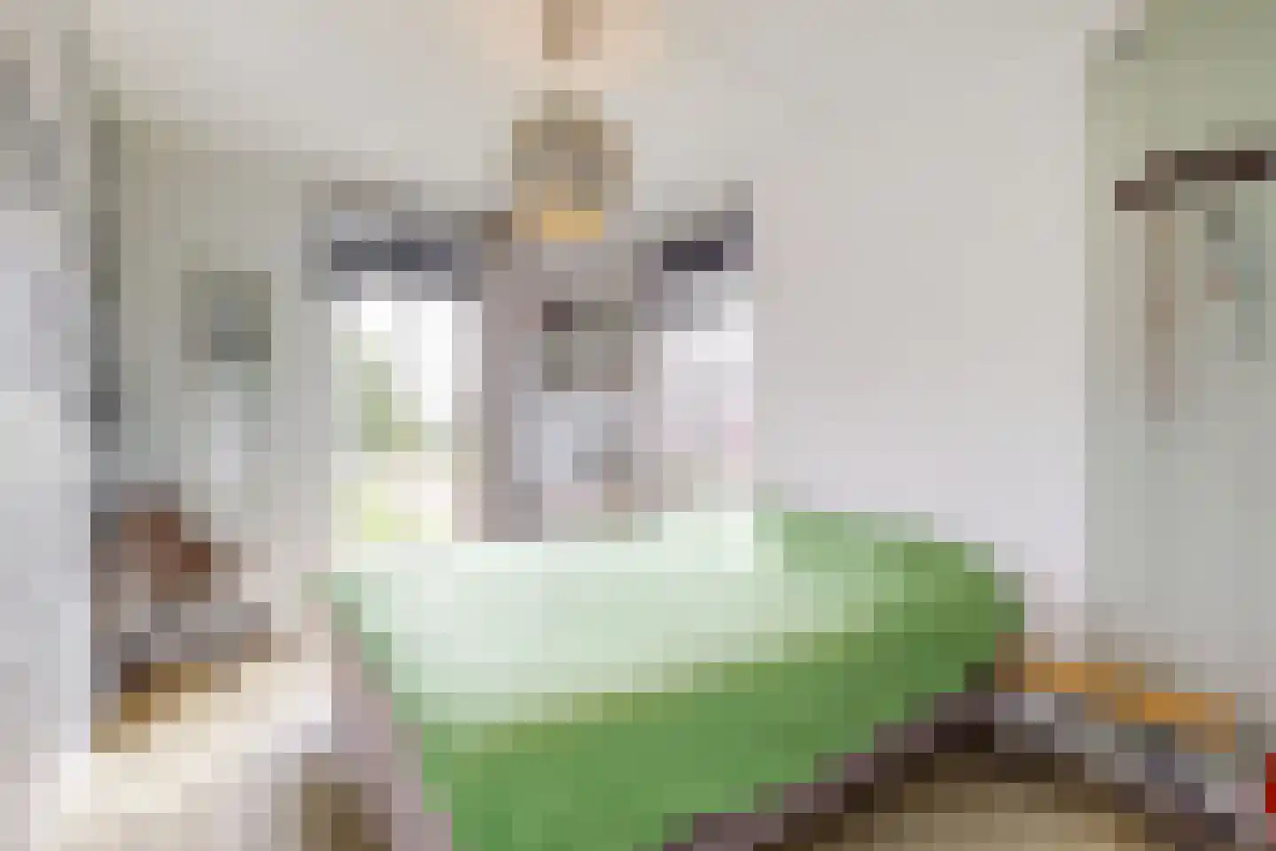 Oranjerie 1 De Goorn thumbnail 21