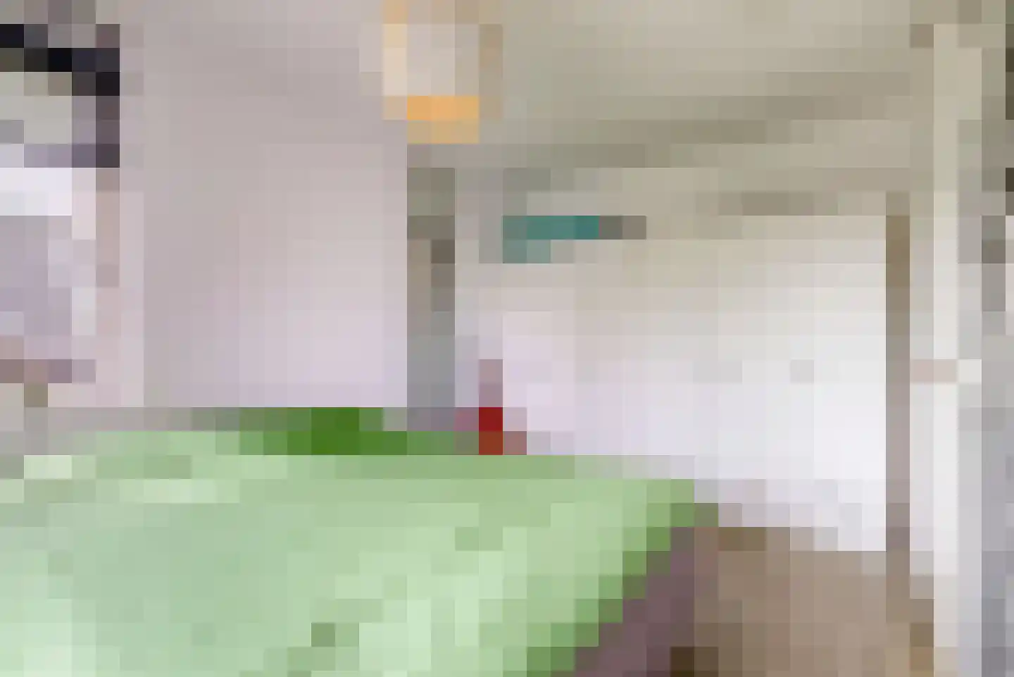 Oranjerie 1 De Goorn thumbnail 22