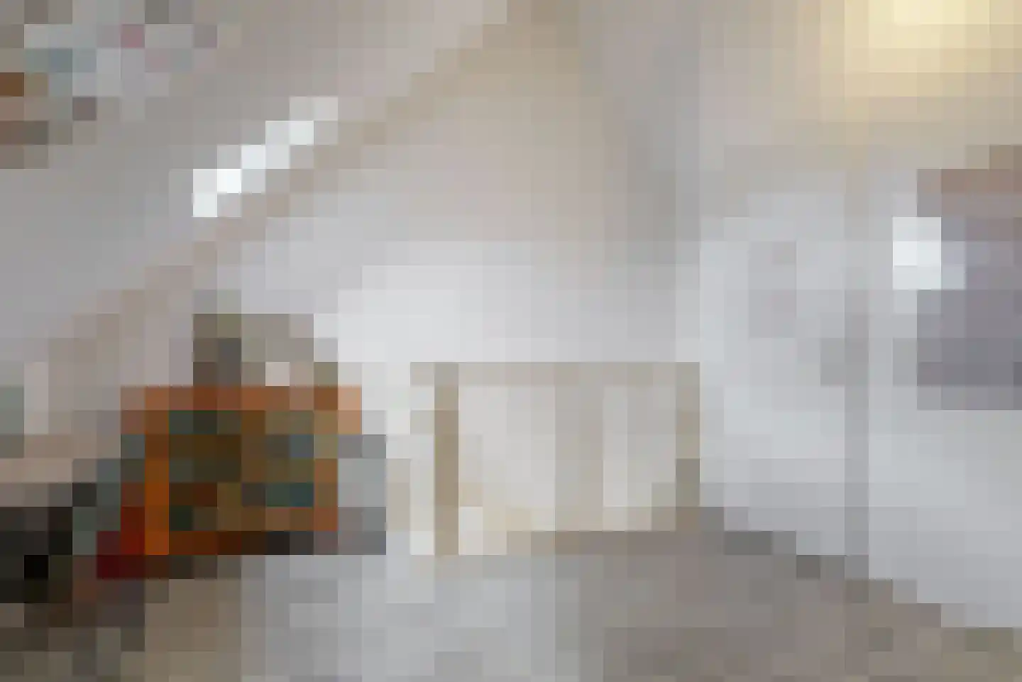 Oranjerie 1 De Goorn thumbnail 26