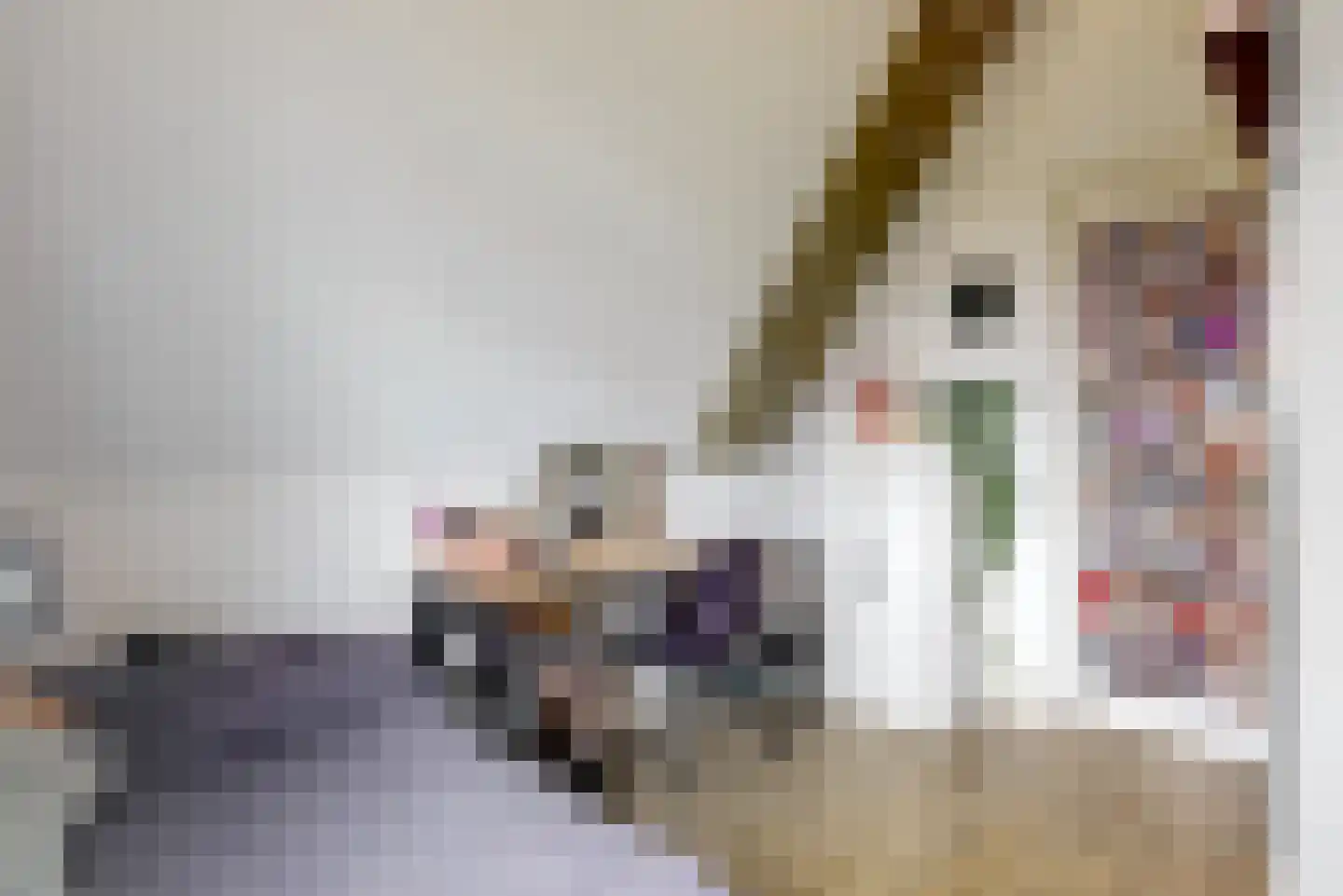 Oranjerie 1 De Goorn thumbnail 28