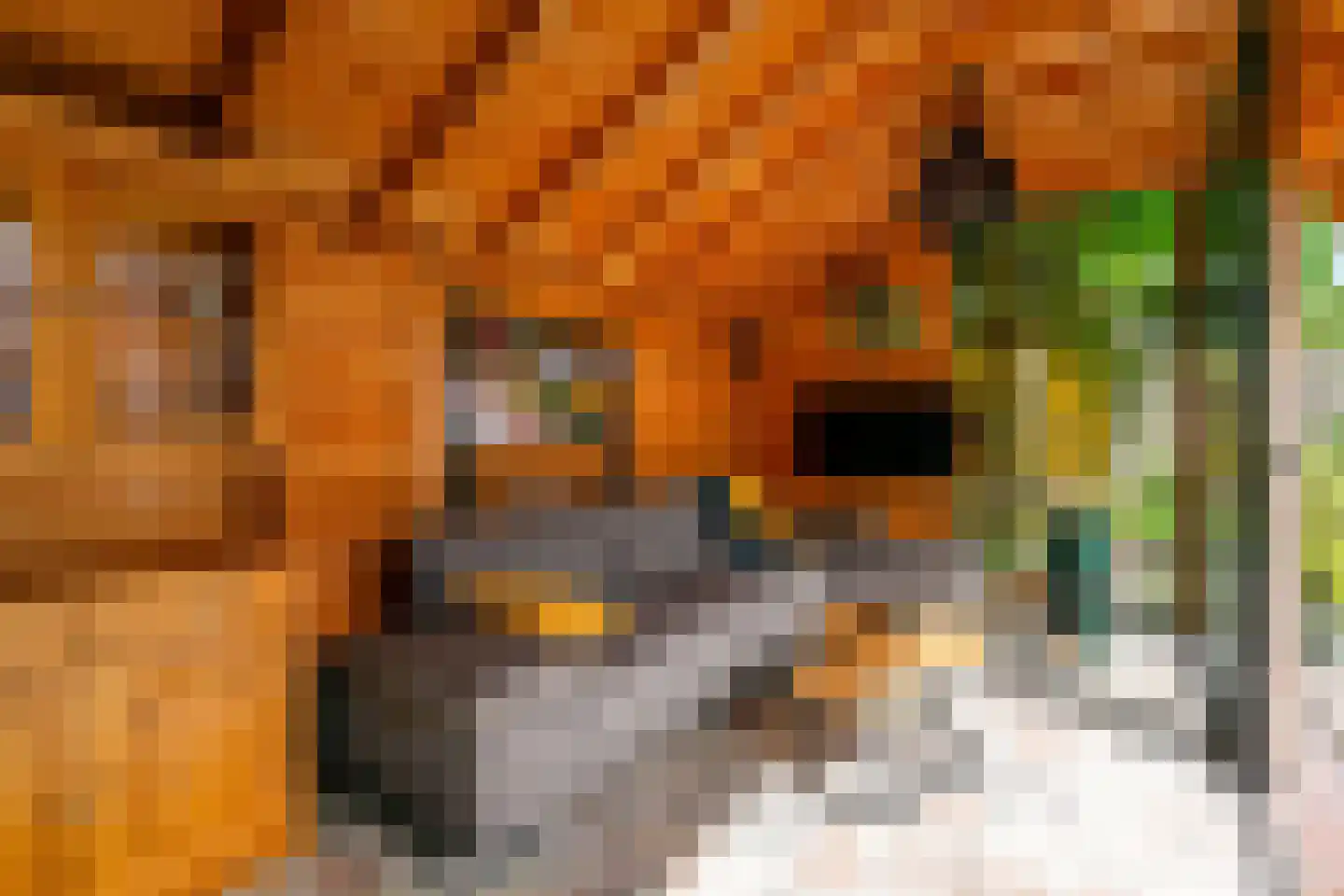 Oranjerie 1 De Goorn thumbnail 31