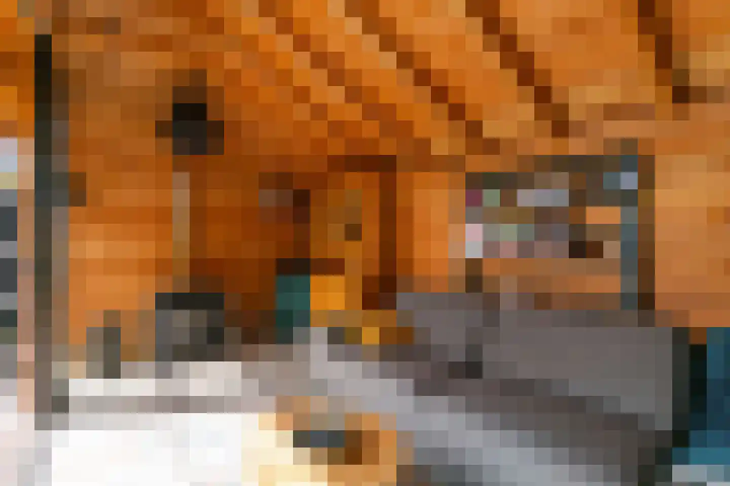 Oranjerie 1 De Goorn thumbnail 32