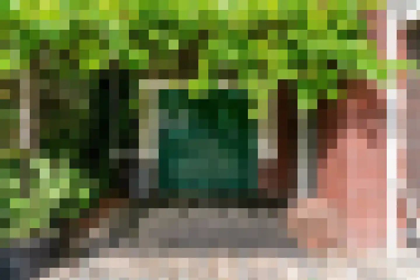 Oranjerie 1 De Goorn thumbnail 37