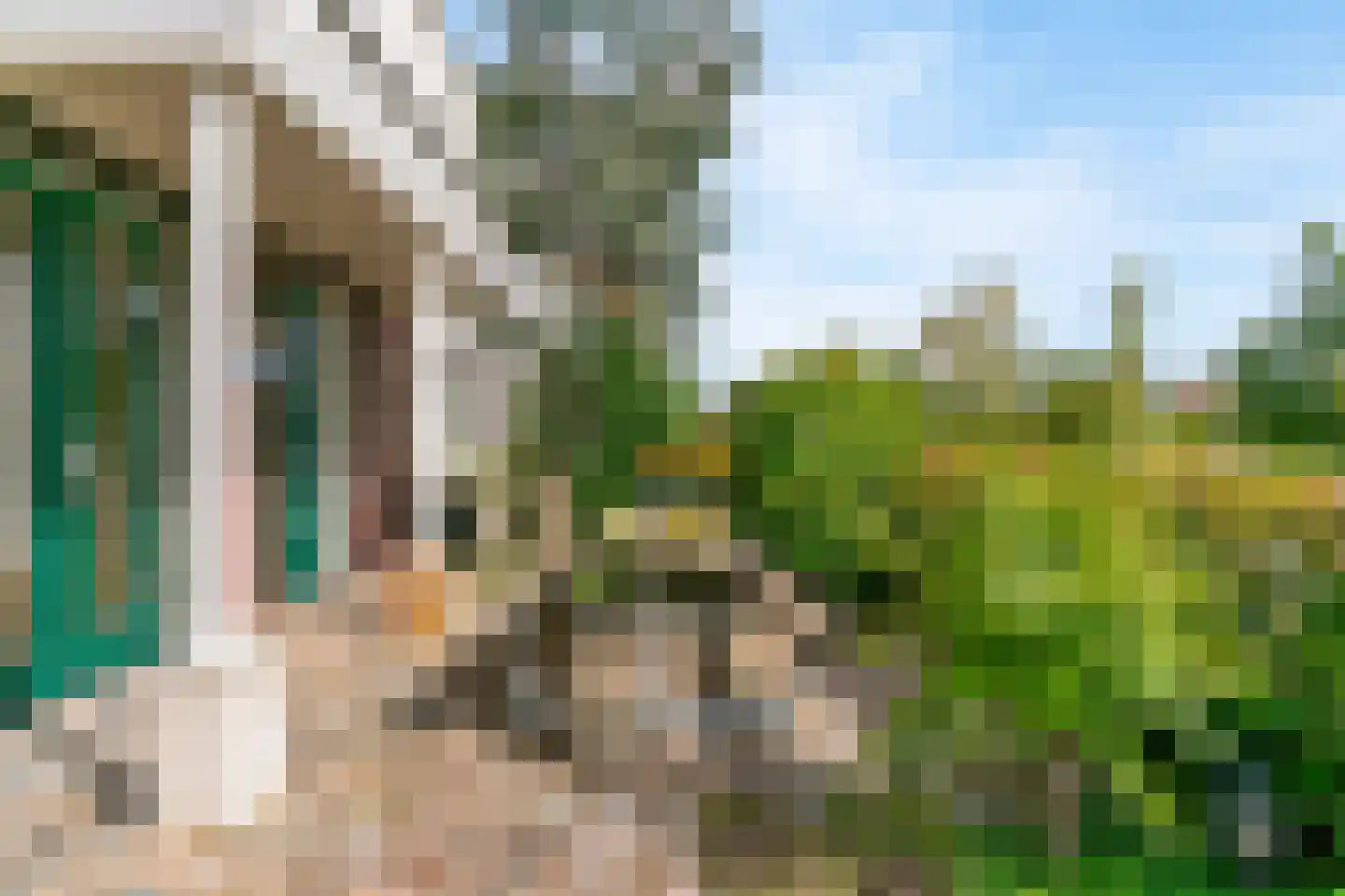 Oranjerie 1 De Goorn thumbnail 38