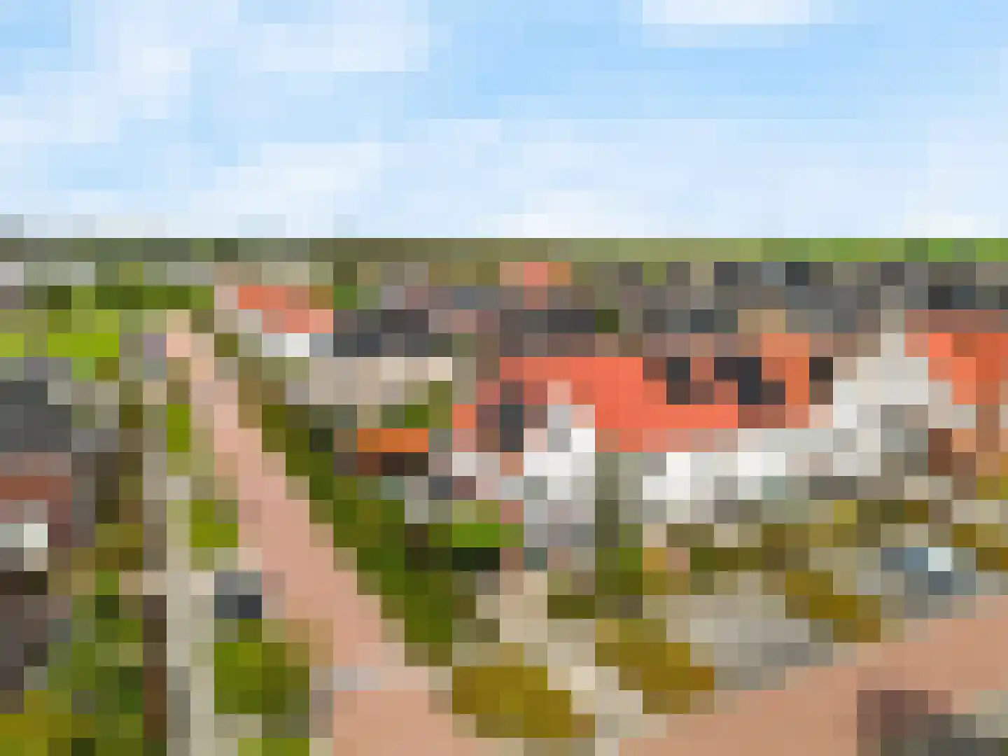 Oranjerie 1 De Goorn thumbnail 45