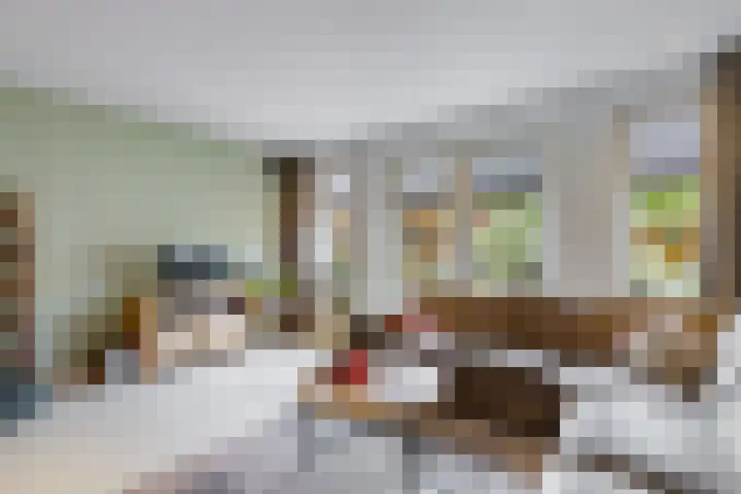 Oranjerie 1 De Goorn thumbnail 5