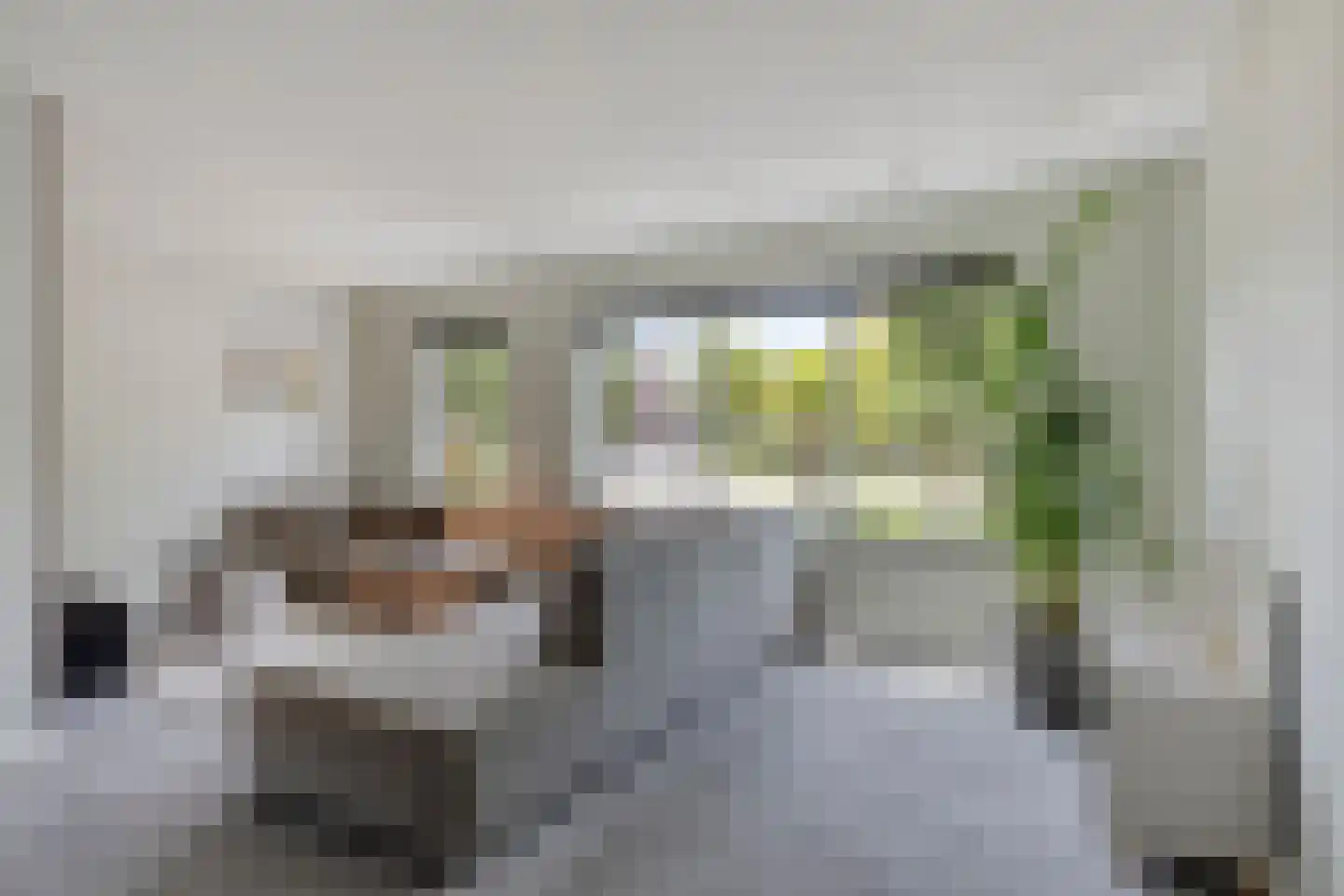 Oranjerie 11 Tholen thumbnail 11