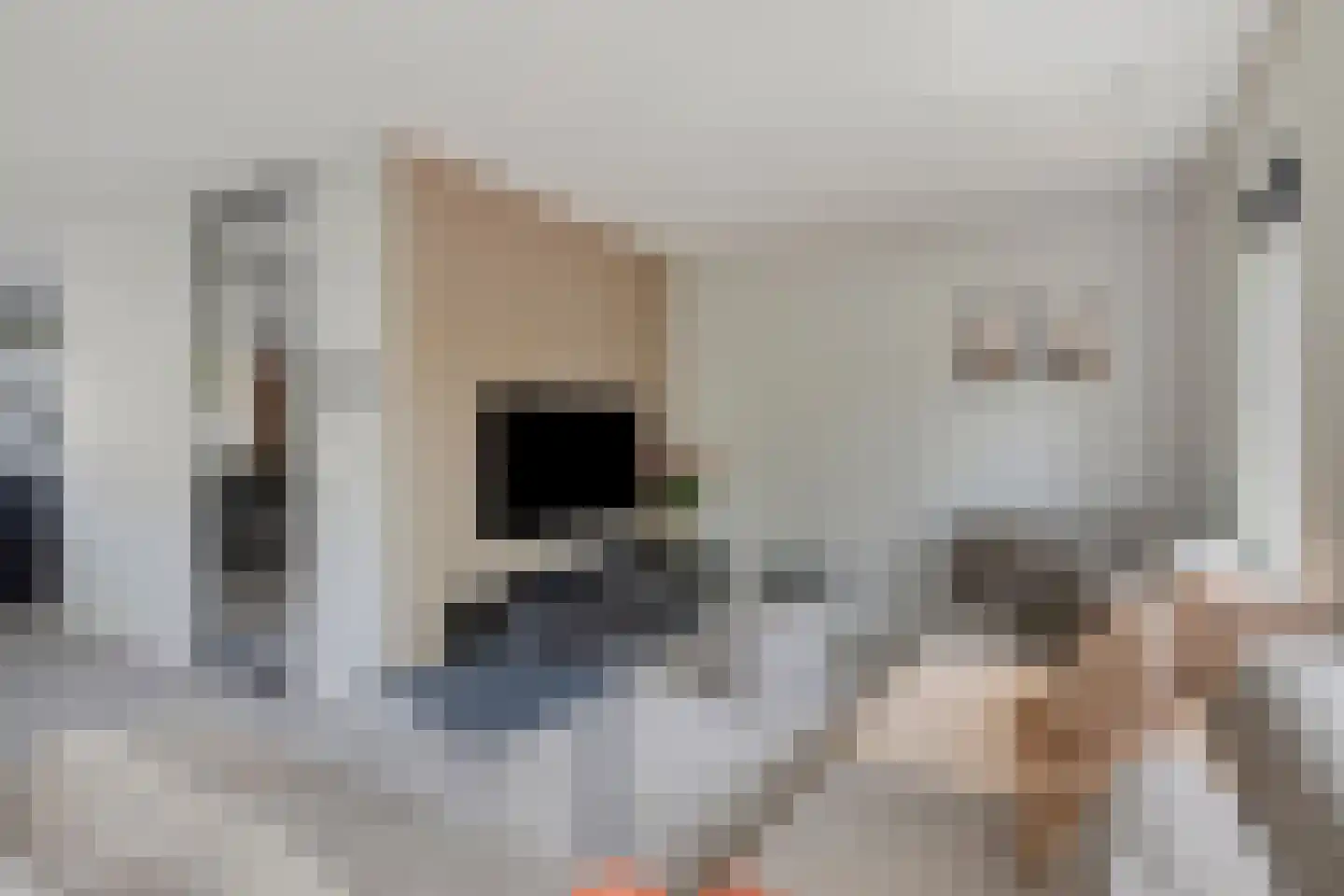 Oranjerie 11 Tholen thumbnail 13