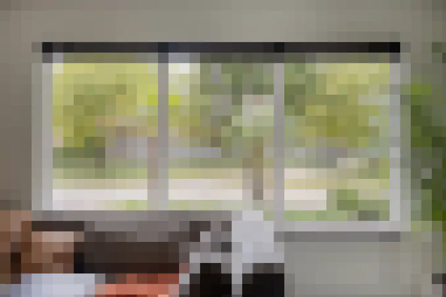 Oranjerie 11 Tholen thumbnail 14