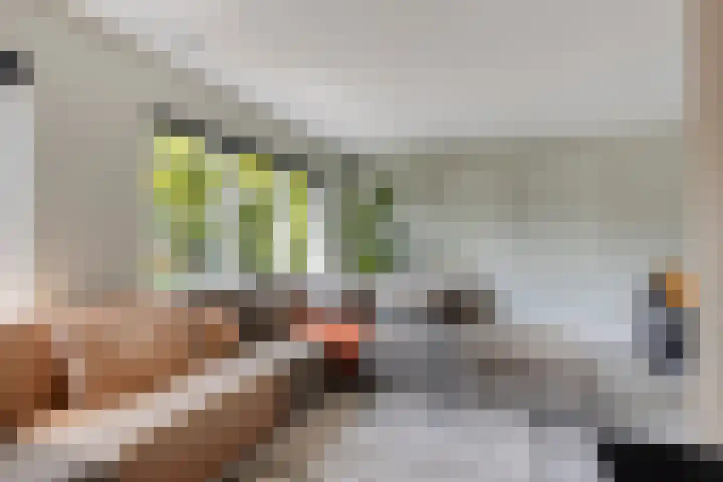 Oranjerie 11 Tholen thumbnail 15