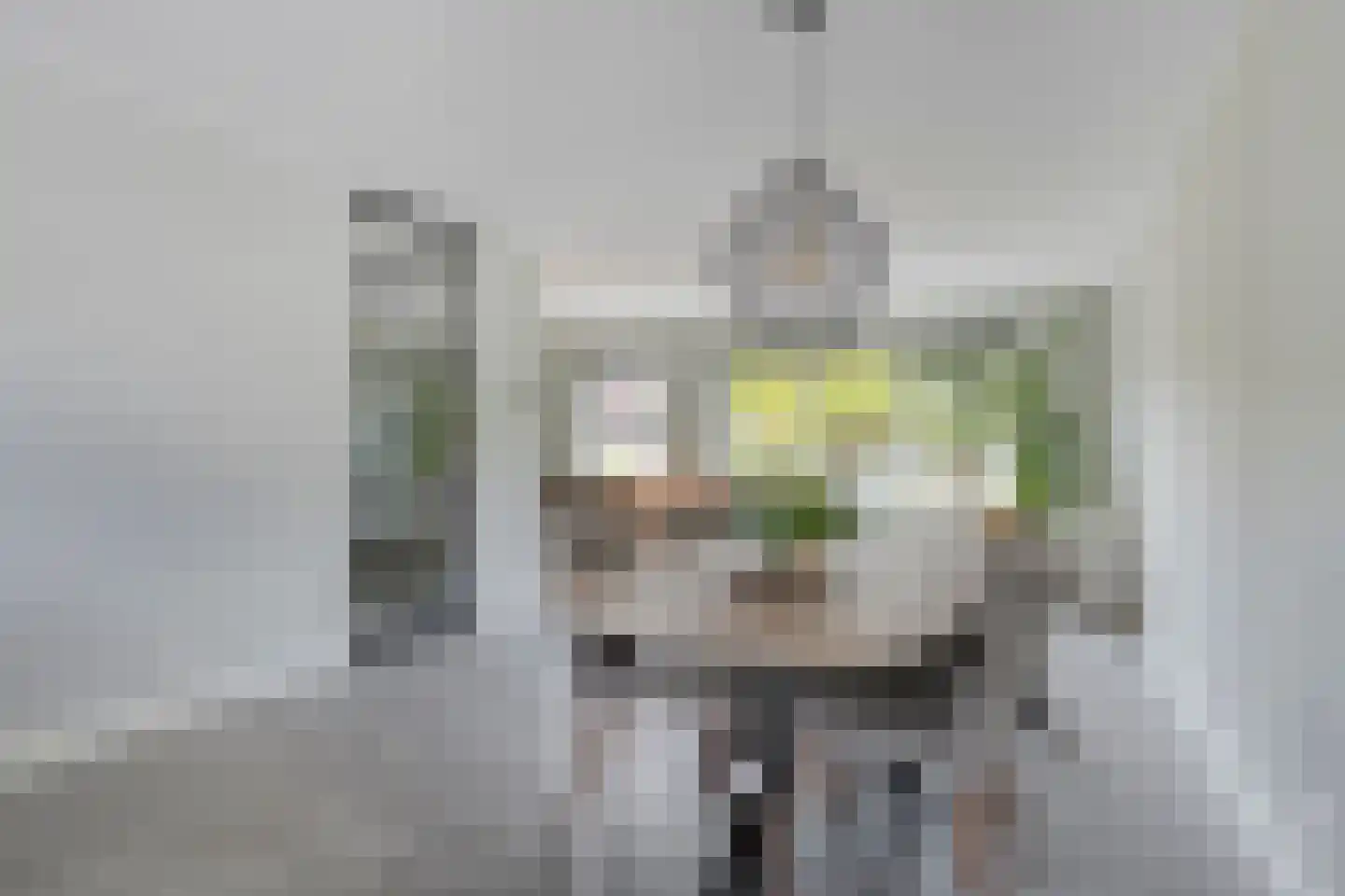 Oranjerie 11 Tholen thumbnail 19