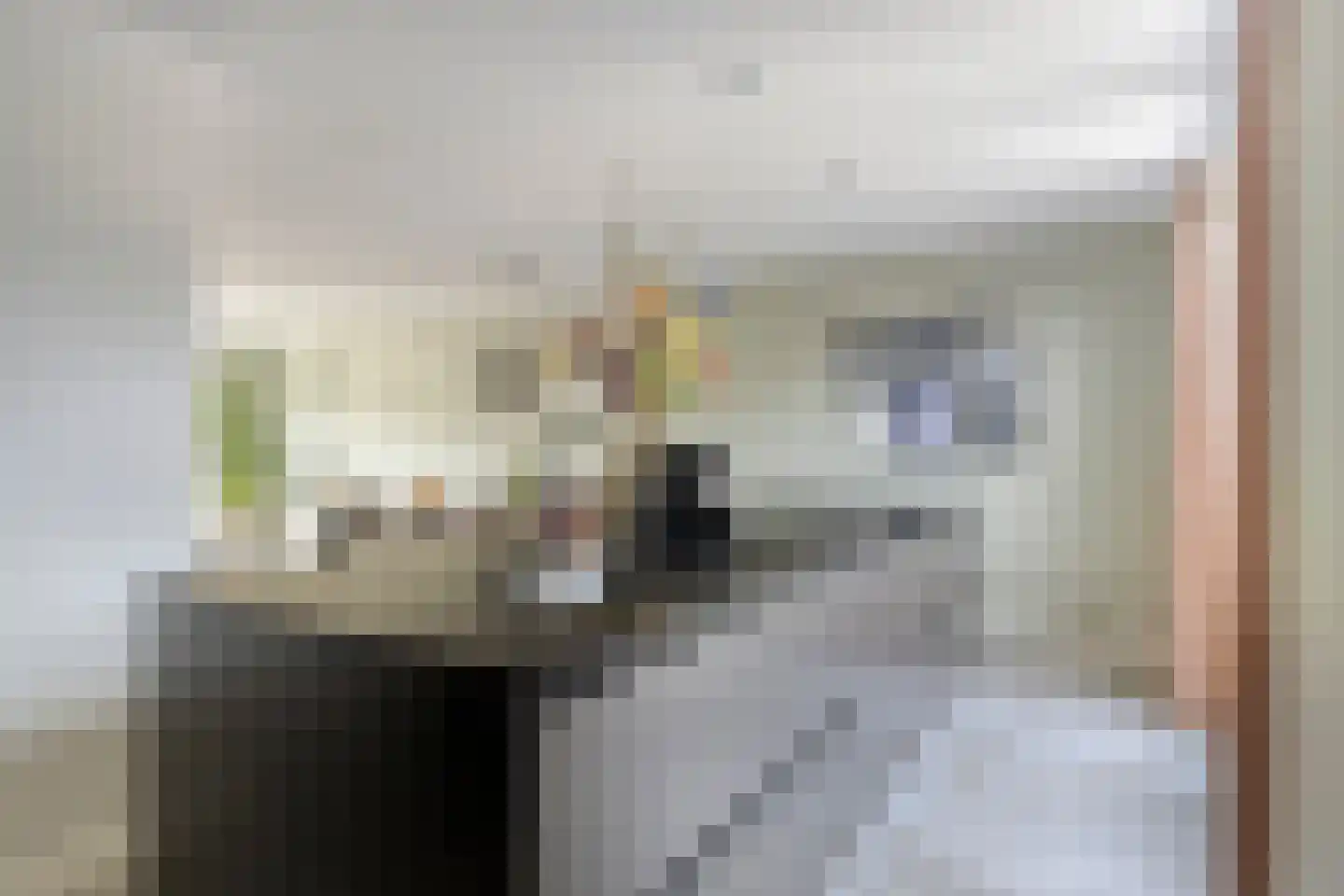 Oranjerie 11 Tholen thumbnail 22
