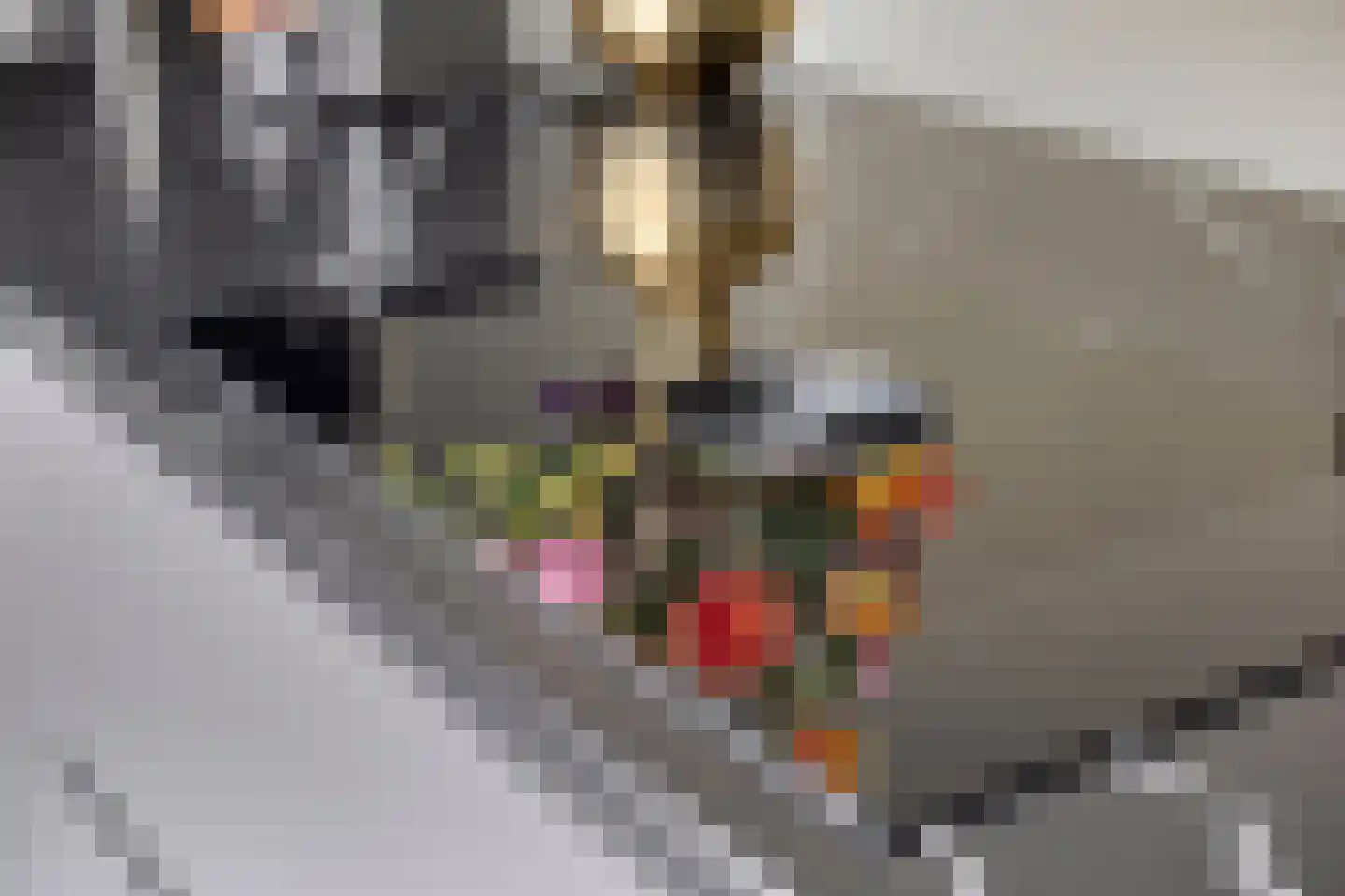 Oranjerie 11 Tholen thumbnail 25