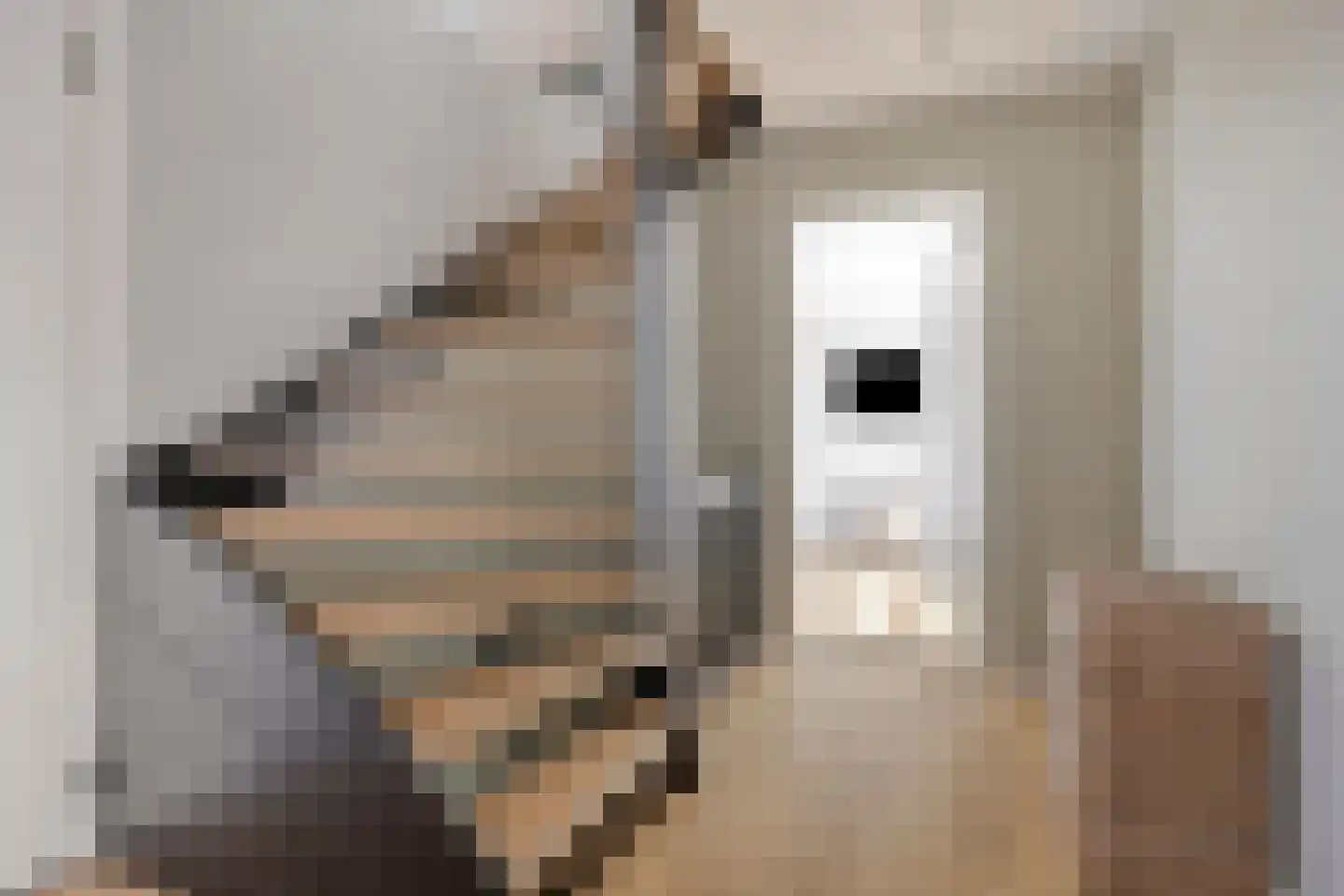 Oranjerie 11 Tholen thumbnail 32