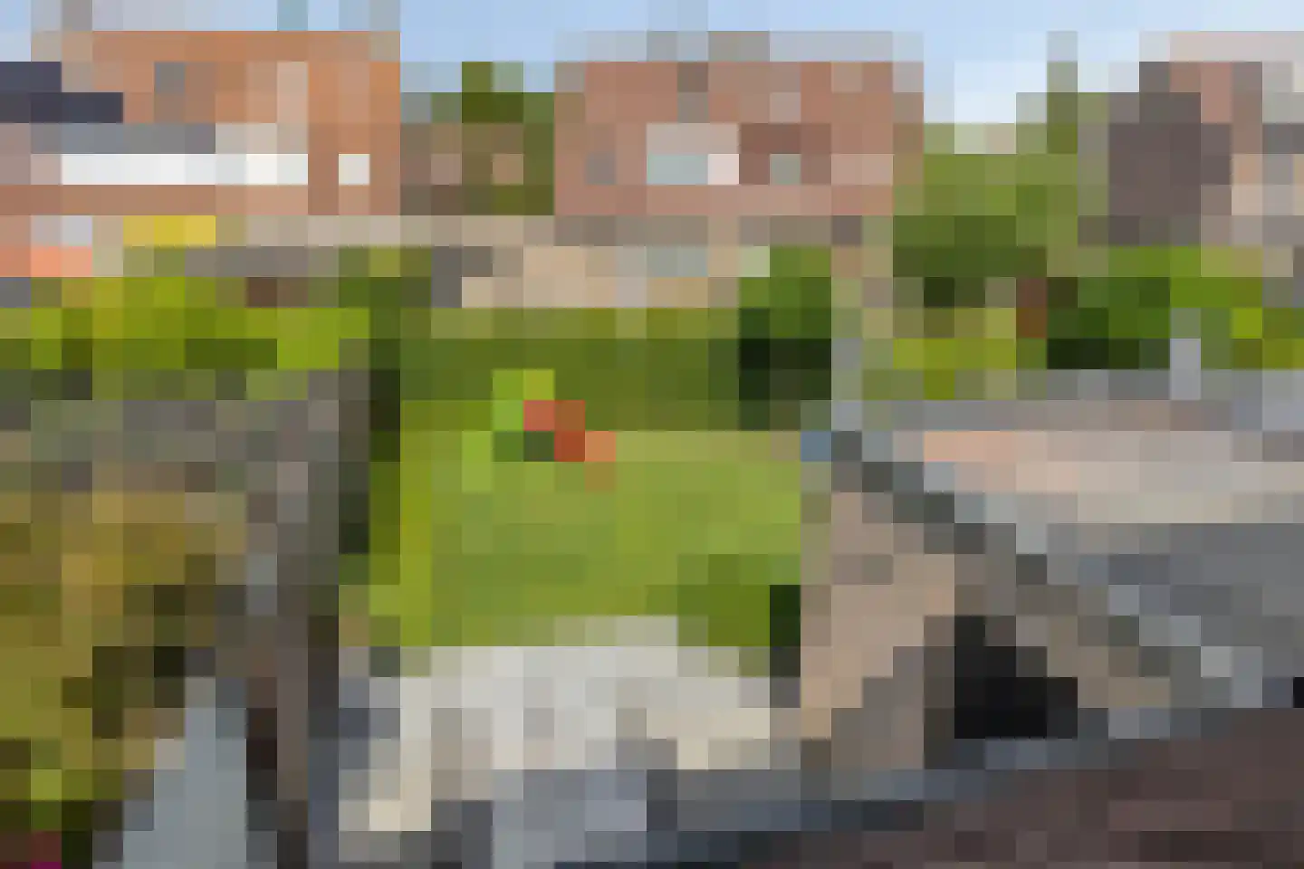 Oranjerie 11 Tholen thumbnail 46