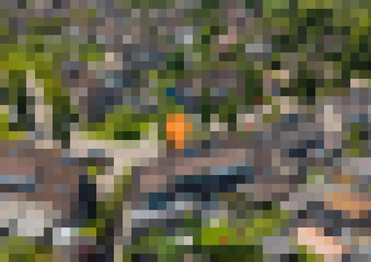 Oranjerie 11 Tholen thumbnail 5