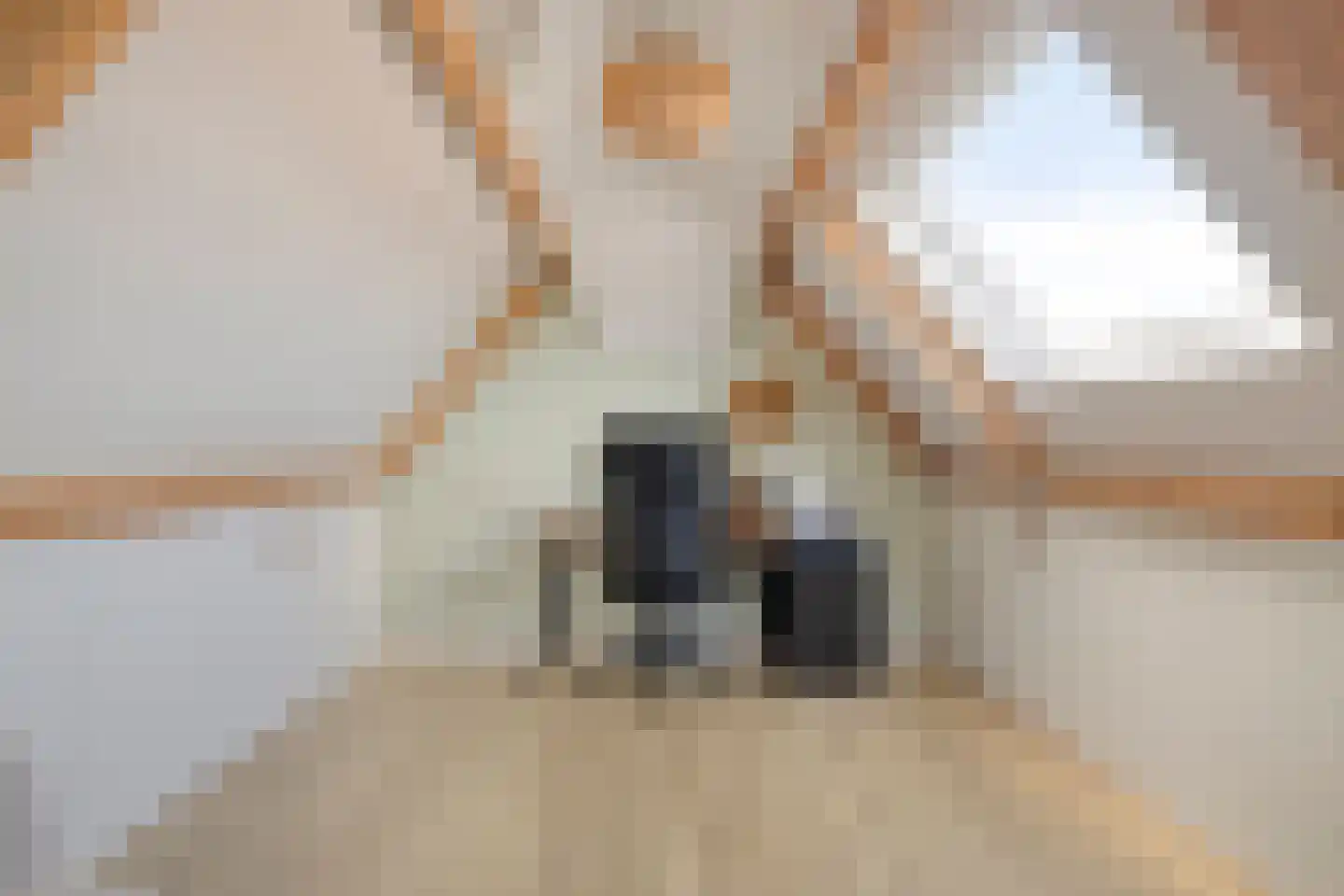 Oranjerie 11 Tholen thumbnail 51