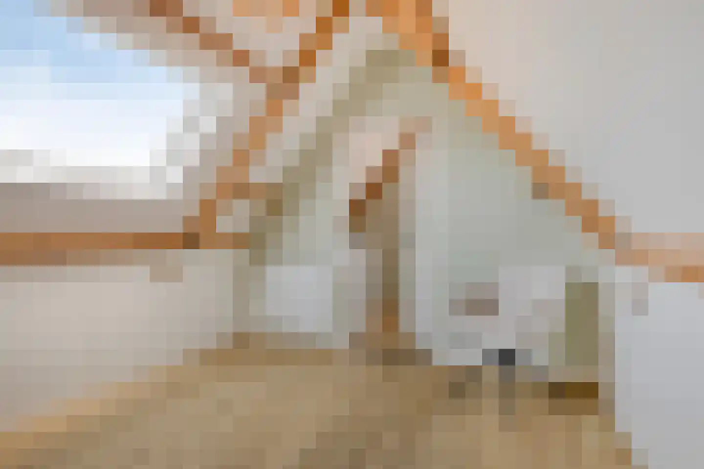 Oranjerie 11 Tholen thumbnail 52