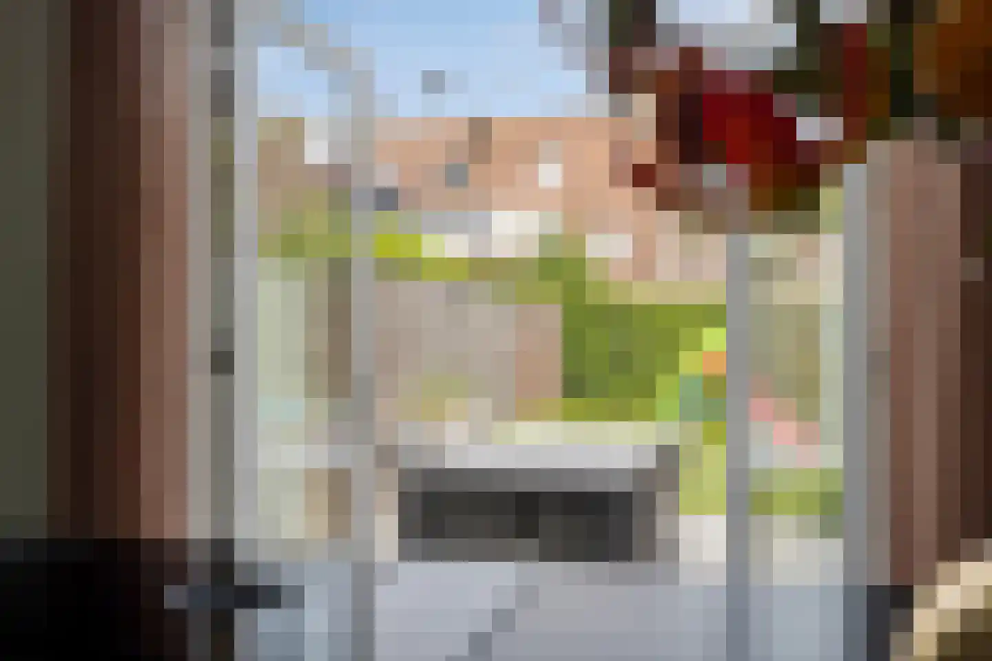 Oranjerie 11 Tholen thumbnail 54